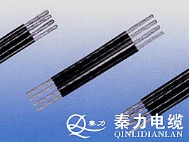 集束导线3+1芯 秦力电缆