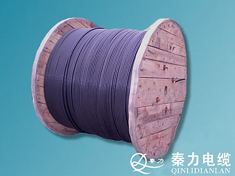 NLYV地埋线介绍|西安电线电缆厂|陕西电线电缆厂